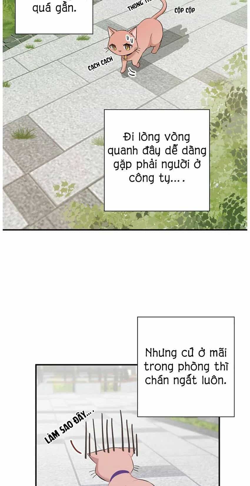 Một Cuộc Sống Kỳ Lạ - Chương 21 - ảnh 11