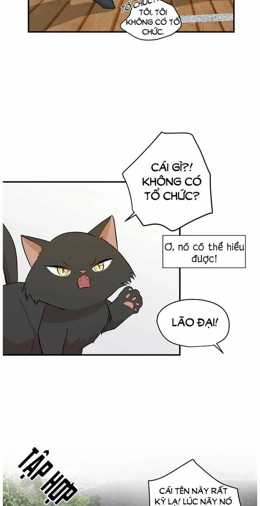 Một Cuộc Sống Kỳ Lạ - Chương 21 - ảnh 15