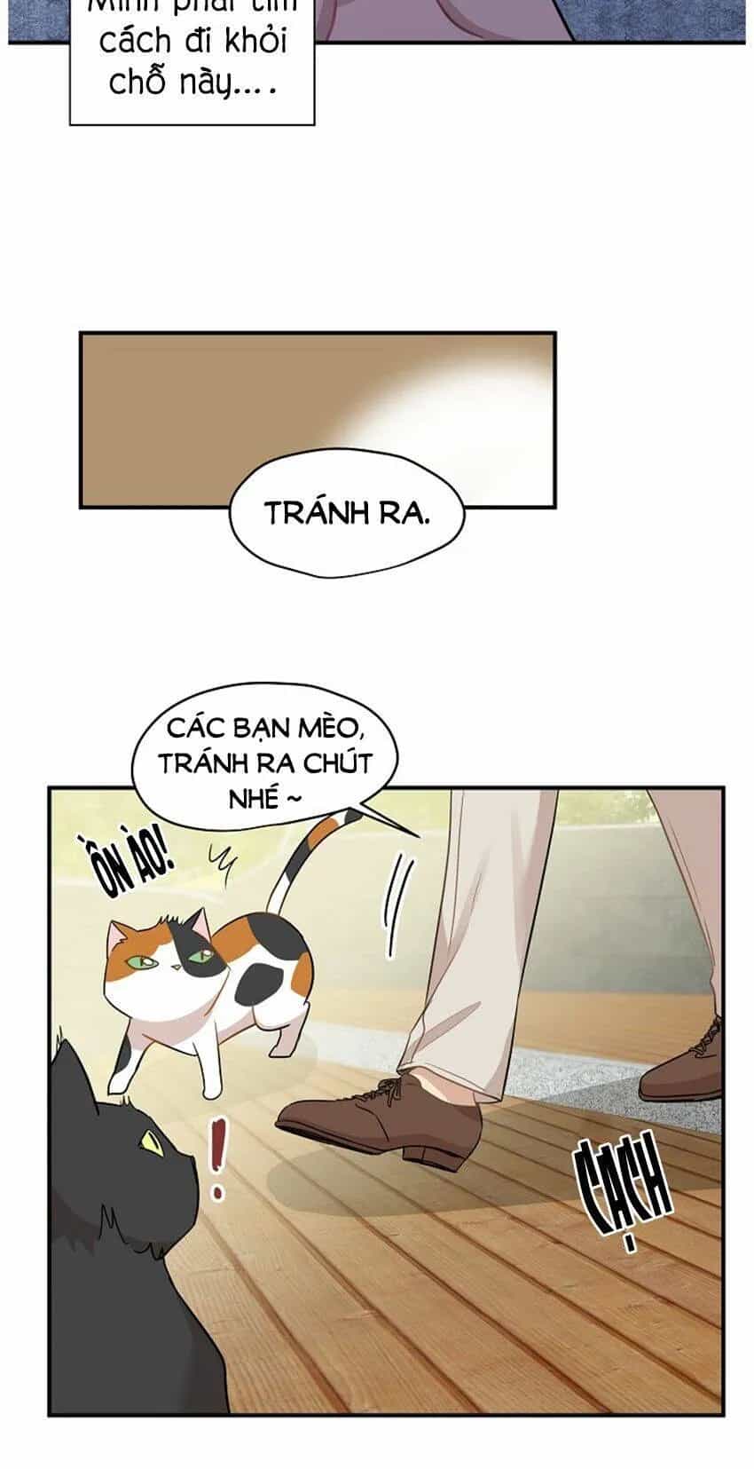 Một Cuộc Sống Kỳ Lạ - Chương 21 - ảnh 20