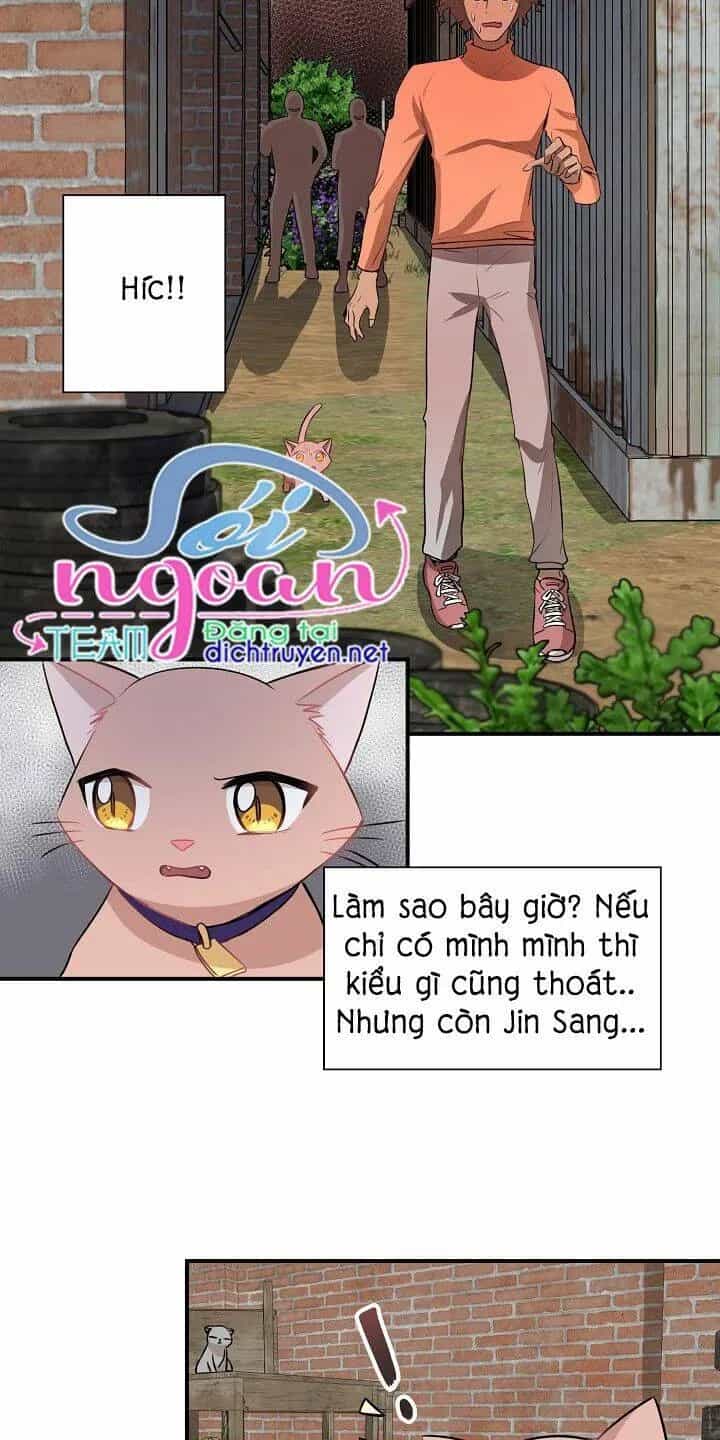 Một Cuộc Sống Kỳ Lạ - Chương 26 - ảnh 33