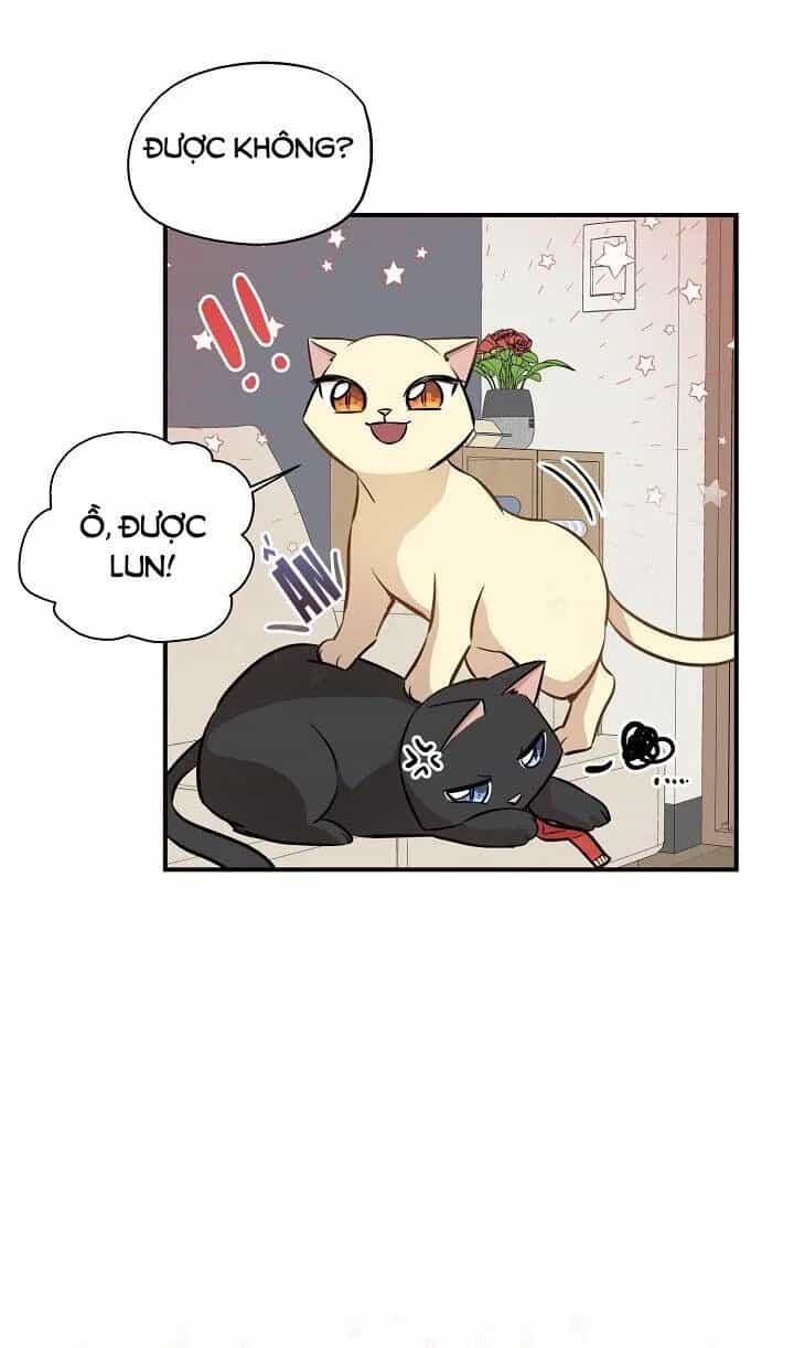 Một Cuộc Sống Kỳ Lạ - Chương 58 - ảnh 36