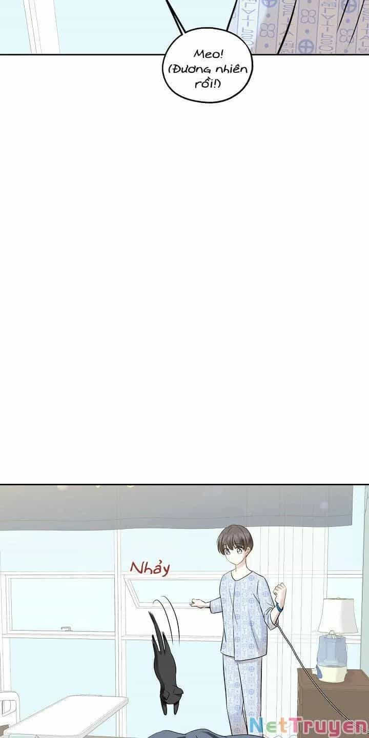 Một Cuộc Sống Kỳ Lạ - Chương 86 - ảnh 19