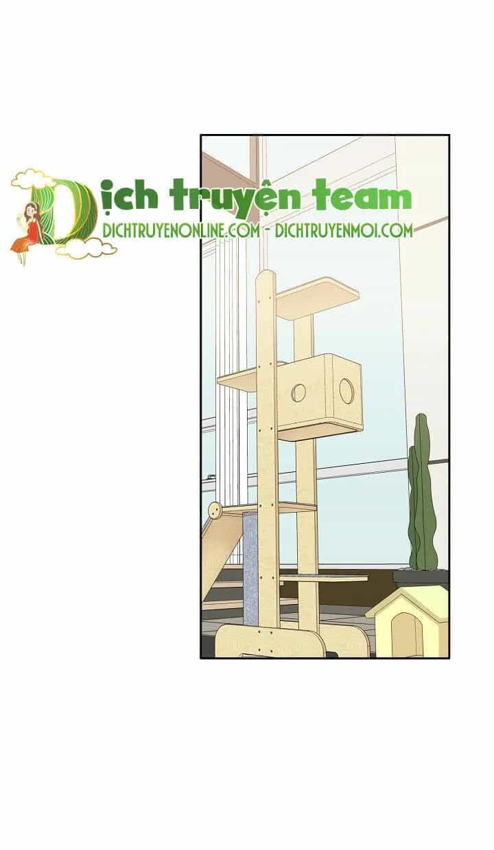 Một Cuộc Sống Kỳ Lạ - Chương 93 - ảnh 57