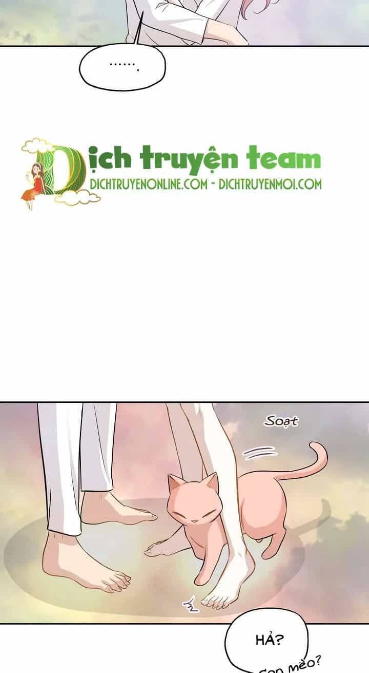 Một Cuộc Sống Kỳ Lạ - Chương 97 - ảnh 61