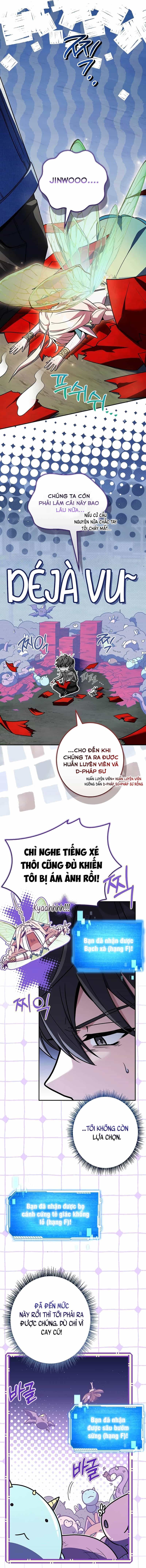 Một Mình Ta Sở Hữu Triệu Hồi Thú Cấp Ex - Chương 11 - ảnh 11