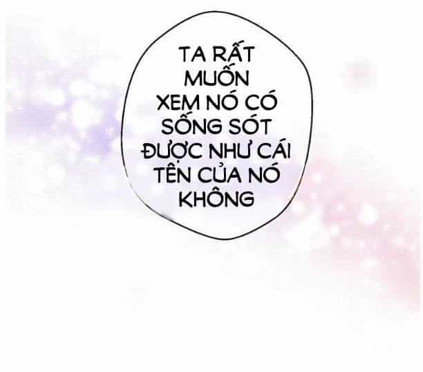 Một Ngày Nọ Tôi Bỗng Thành Nàng Công Chúa - Chương 9 - ảnh 15