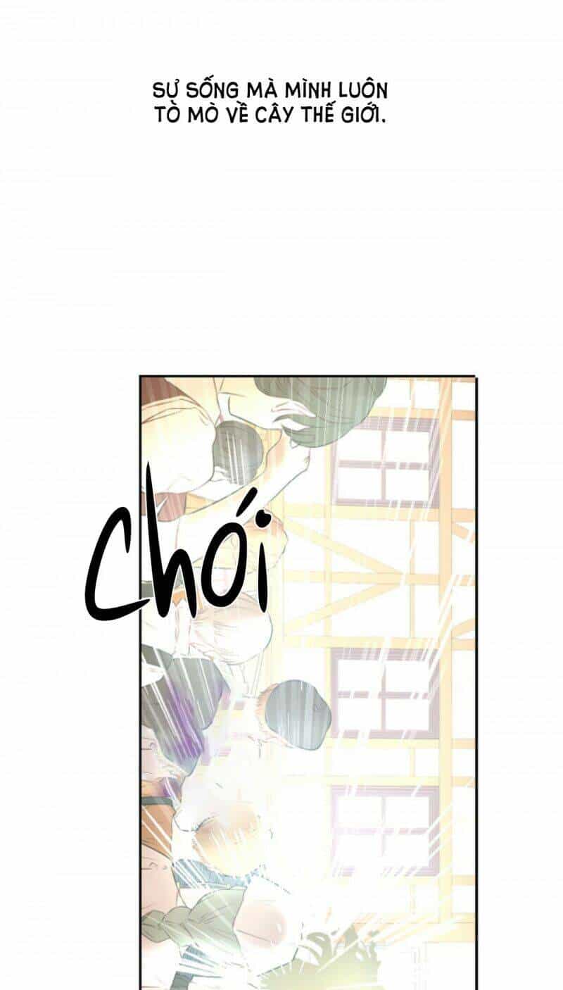 Một Ngày Nọ Tôi Bỗng Thành Nàng Công Chúa - Chương 125 - ảnh 57