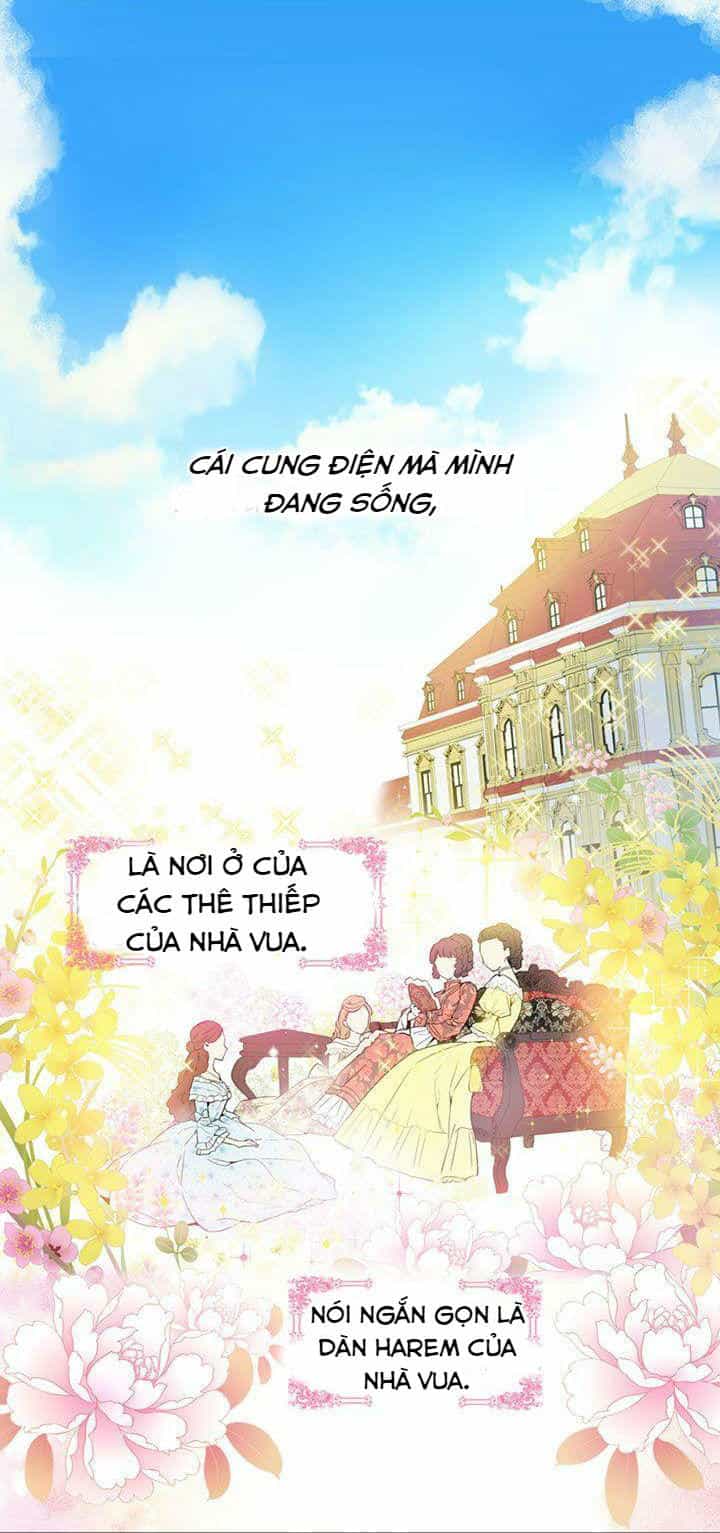 Một Ngày Nọ Tôi Bỗng Thành Nàng Công Chúa - Chương 2 - ảnh 6