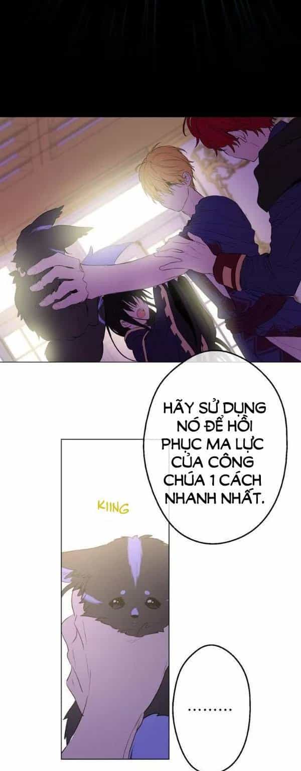 Một Ngày Nọ Tôi Bỗng Thành Nàng Công Chúa - Chương 38 - ảnh 29