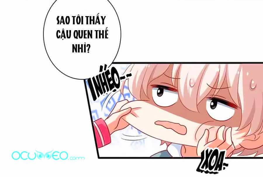 Một Thai Hai Bảo : Đưa Mami Về Nhà ! - Chương 12 - ảnh 7