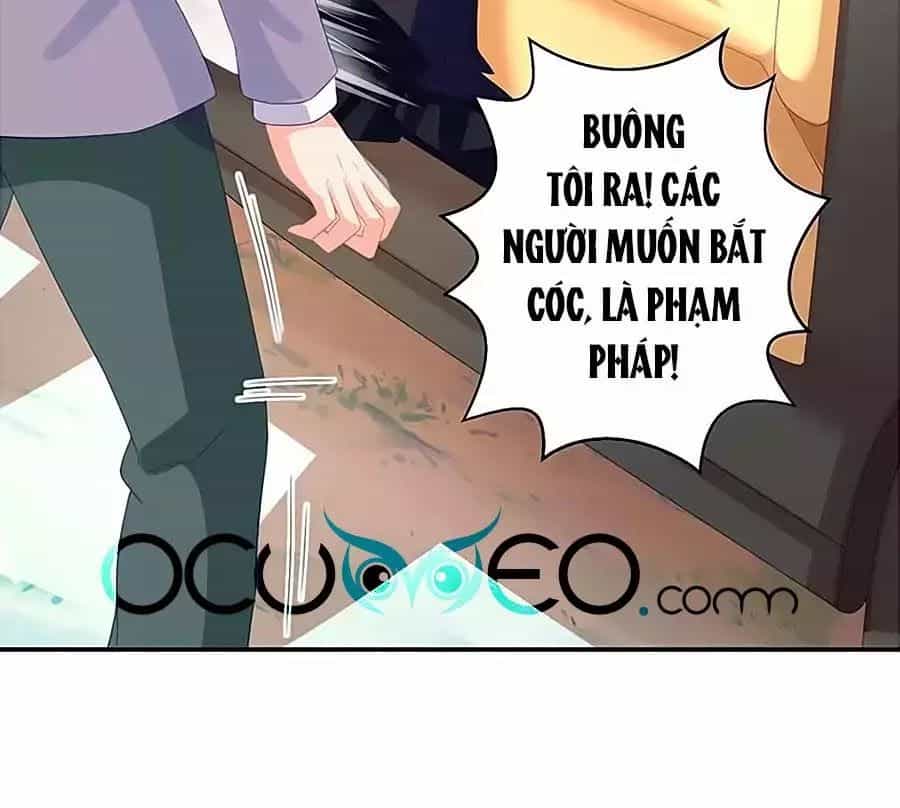 Một Thai Hai Bảo : Đưa Mami Về Nhà ! - Chương 76 - ảnh 33