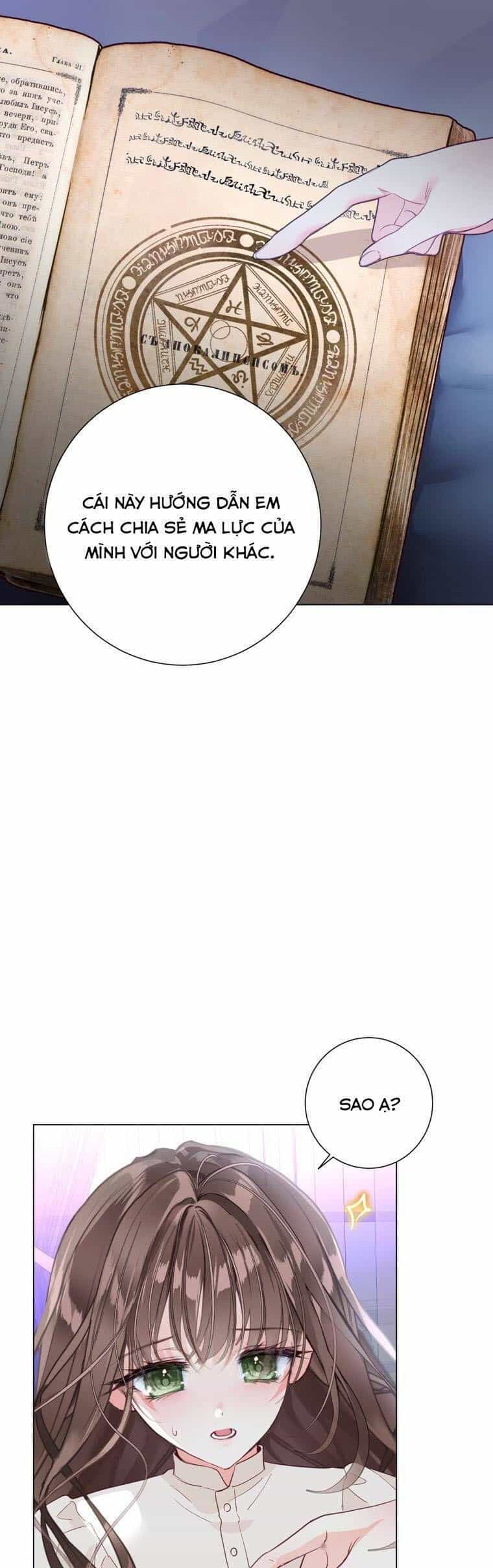 Một Thế Giới Không Có Chị Gái Mà Ai Cũng Yêu - Chương 2 - ảnh 41