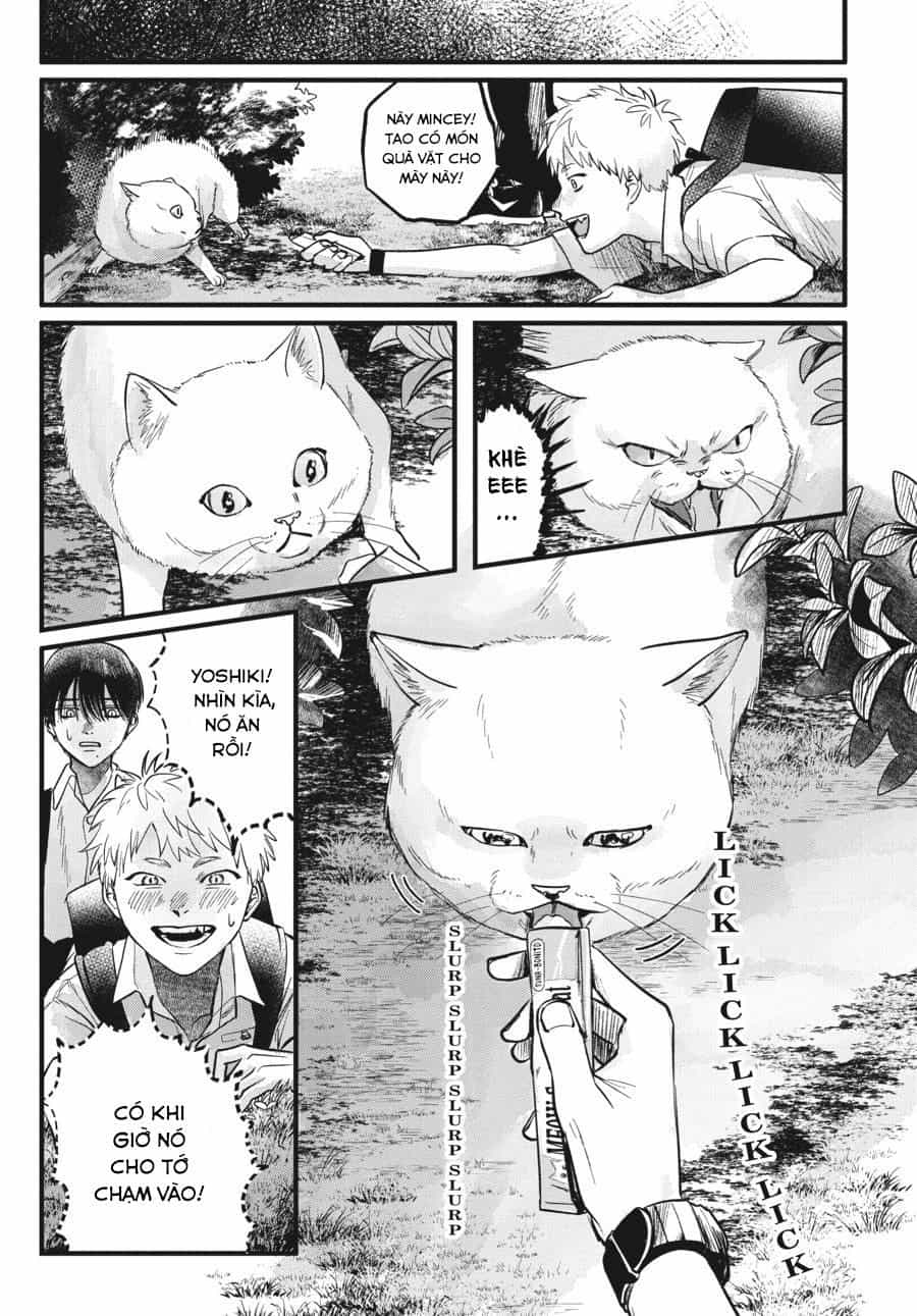 Mùa Hè Hikaru Ra Đi - Chương 8 - ảnh 5
