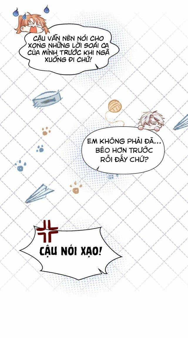 Mười Năm Sau, Tôi Kết Hôn Với Kẻ Không Đội Trời Chung Của Mình?! - Chương 24 - ảnh 24