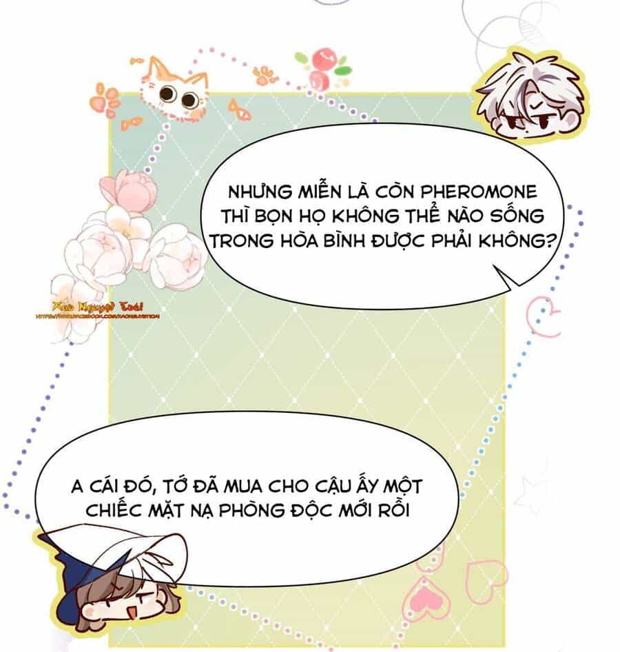 Mười Năm Sau, Tôi Kết Hôn Với Kẻ Không Đội Trời Chung Của Mình?! - Chương 42 - ảnh 28