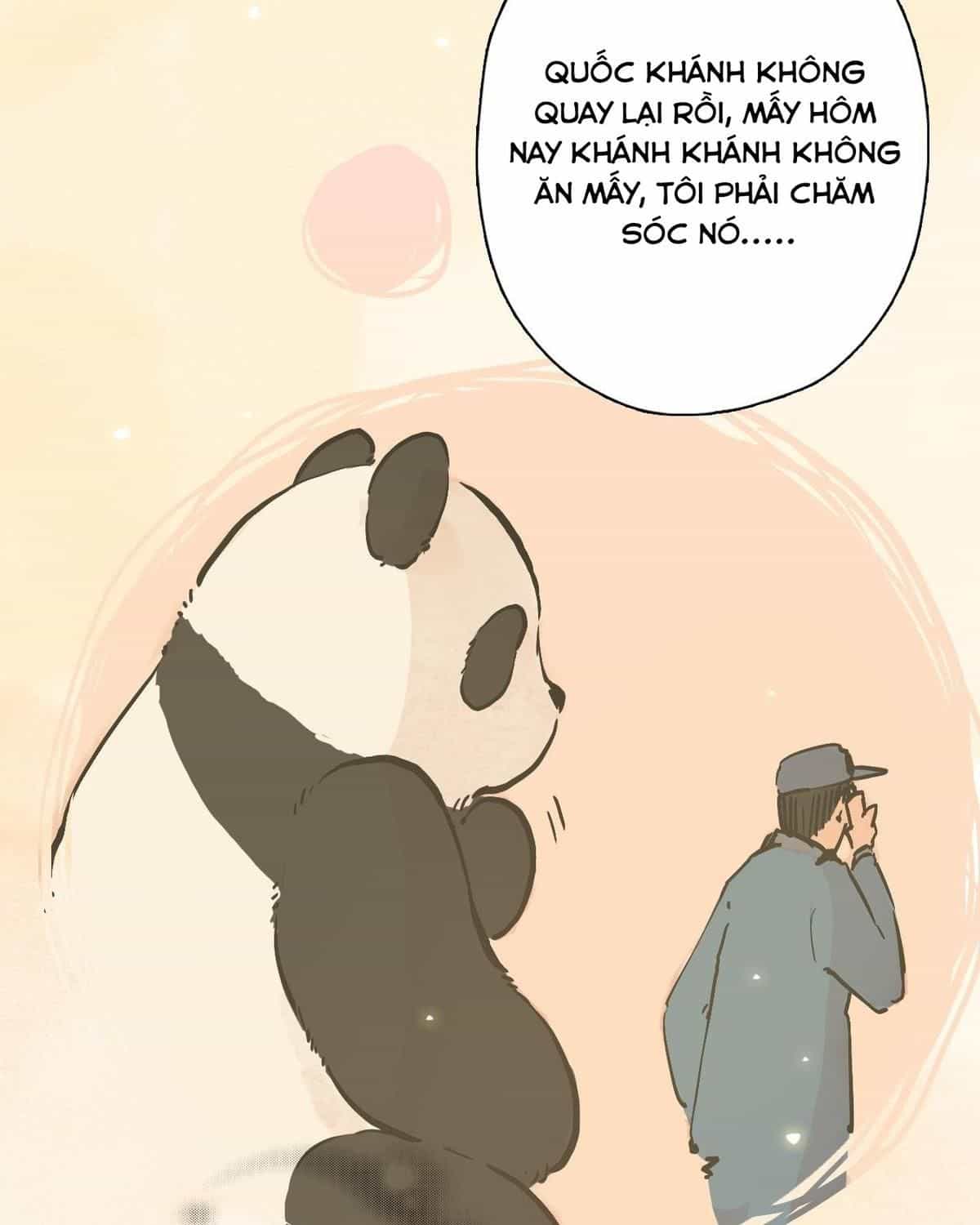 Năm Bạn Mèo - Chương 23 - ảnh 9