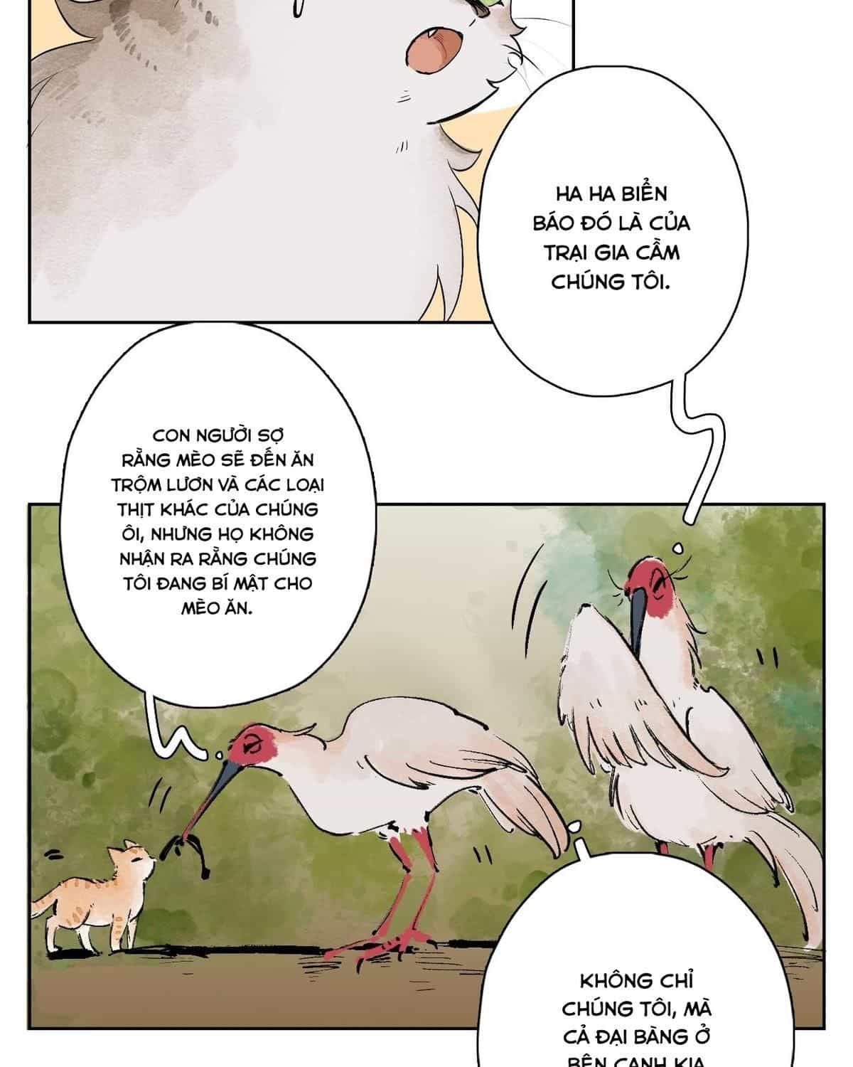 Năm Bạn Mèo - Chương 25 - ảnh 28