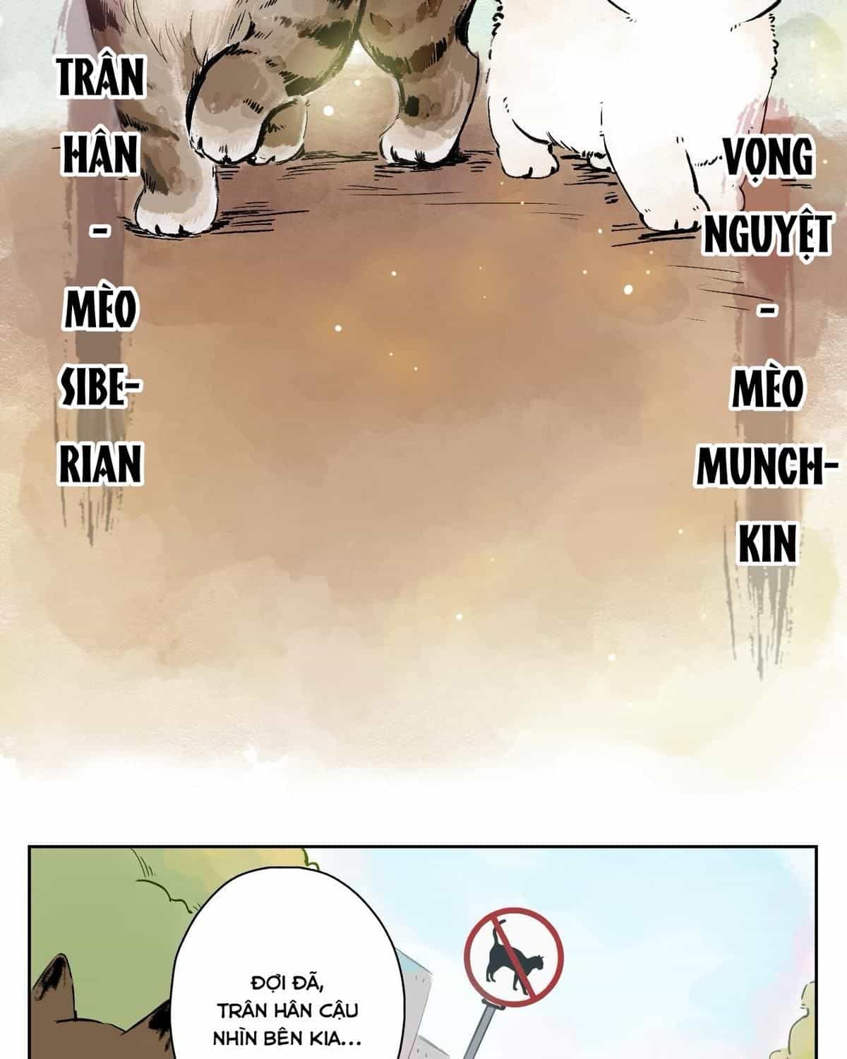 Năm Bạn Mèo - Chương 25 - ảnh 7