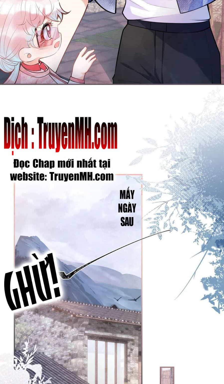 Nam Thành Chờ Trăng Về - Chương 272 - ảnh 5