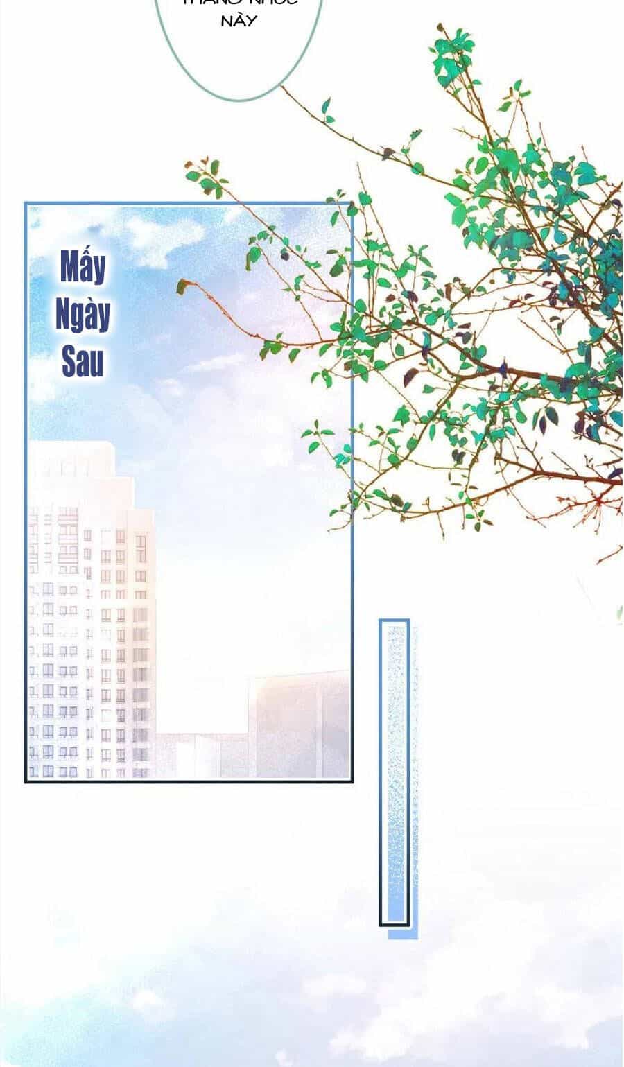 Nam Thành Chờ Trăng Về - Chương 276 - ảnh 14