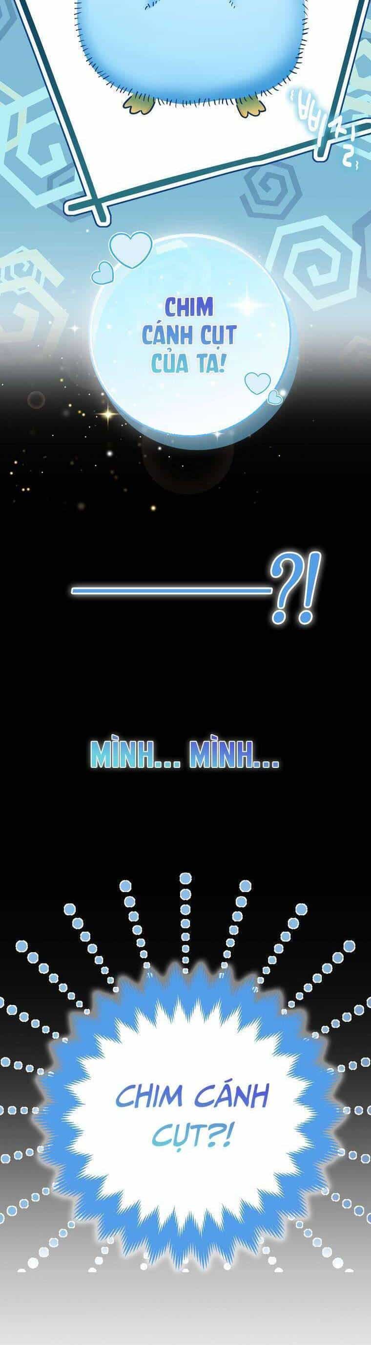 Nàng Chim Cánh Cụt Yêu Thích Của Chàng Cá Voi Sát Thủ Điên Rồ - Chương 1 - ảnh 11