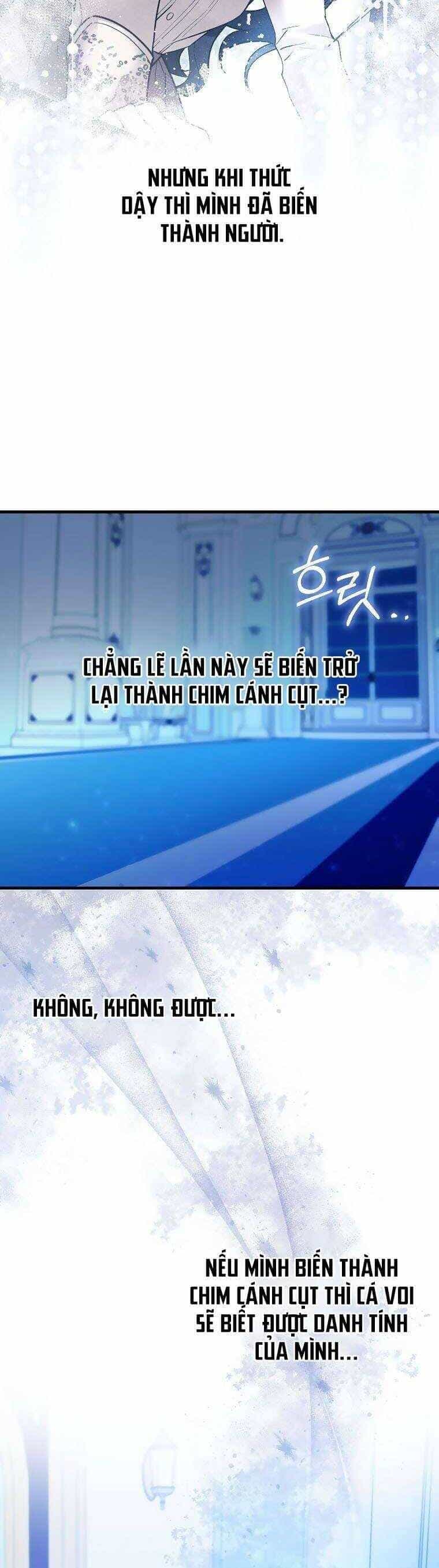 Nàng Chim Cánh Cụt Yêu Thích Của Chàng Cá Voi Sát Thủ Điên Rồ - Chương 6 - ảnh 8