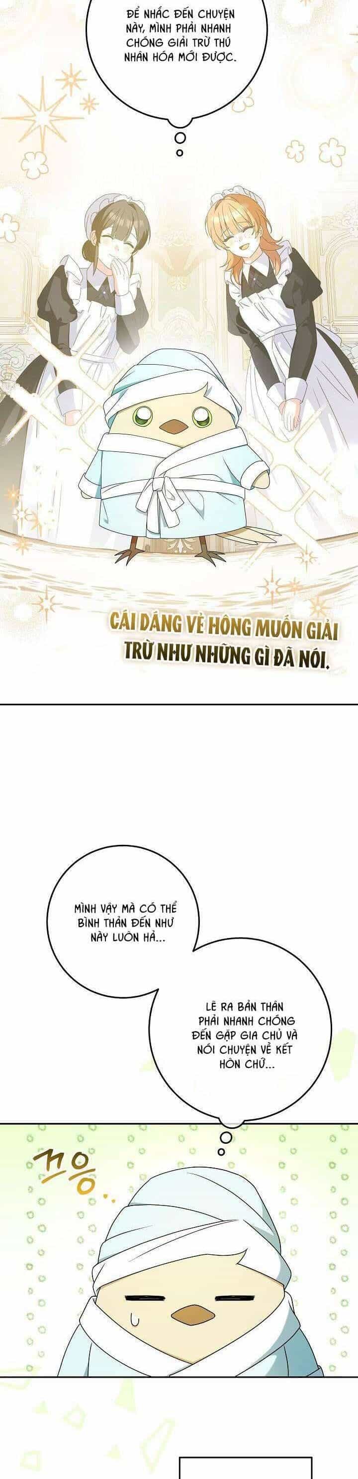 Nàng Chim Được Dinh Thự Sói Yêu Thương - Chương 7 - ảnh 18