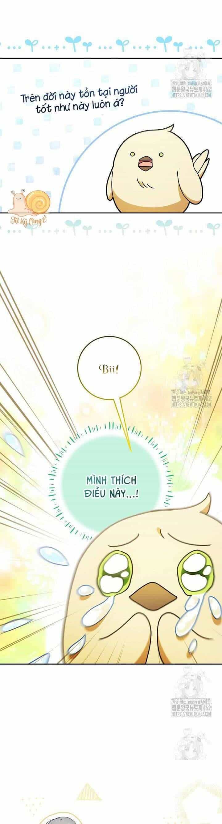 Nàng Chim Được Dinh Thự Sói Yêu Thương - Chương 13 - ảnh 12