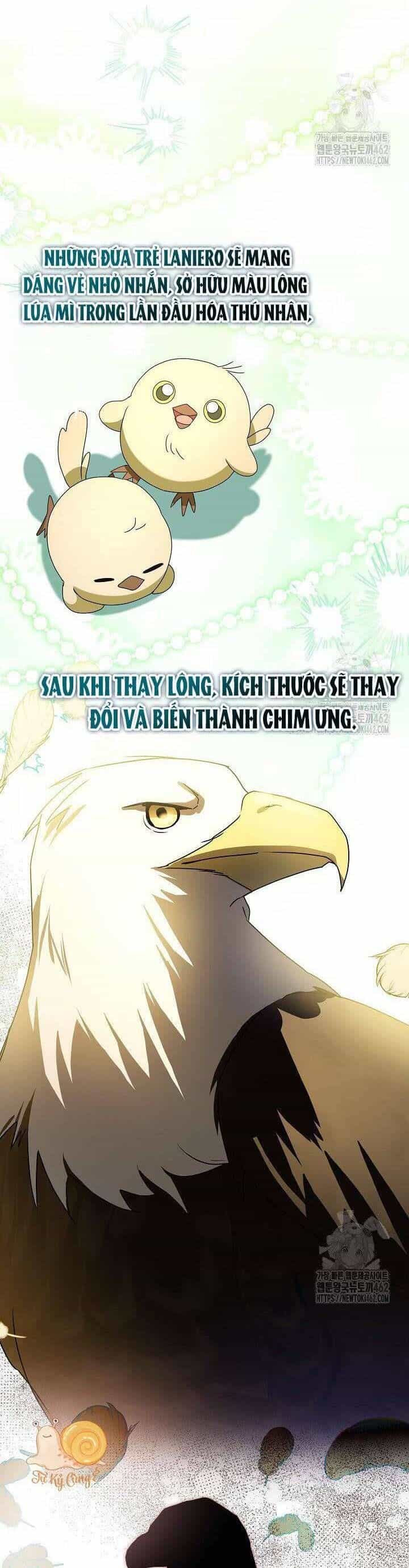 Nàng Chim Được Dinh Thự Sói Yêu Thương - Chương 13 - ảnh 34
