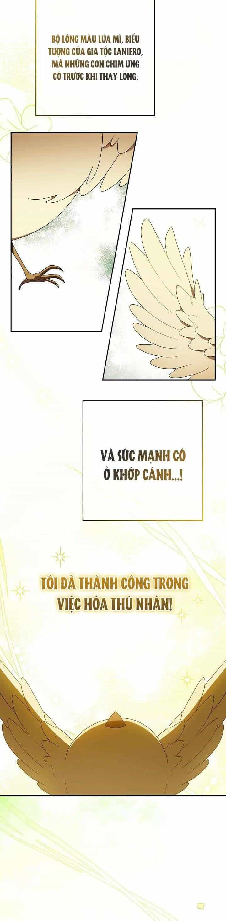 Nàng Chim Được Dinh Thự Sói Yêu Thương - Chương 4 - ảnh 2