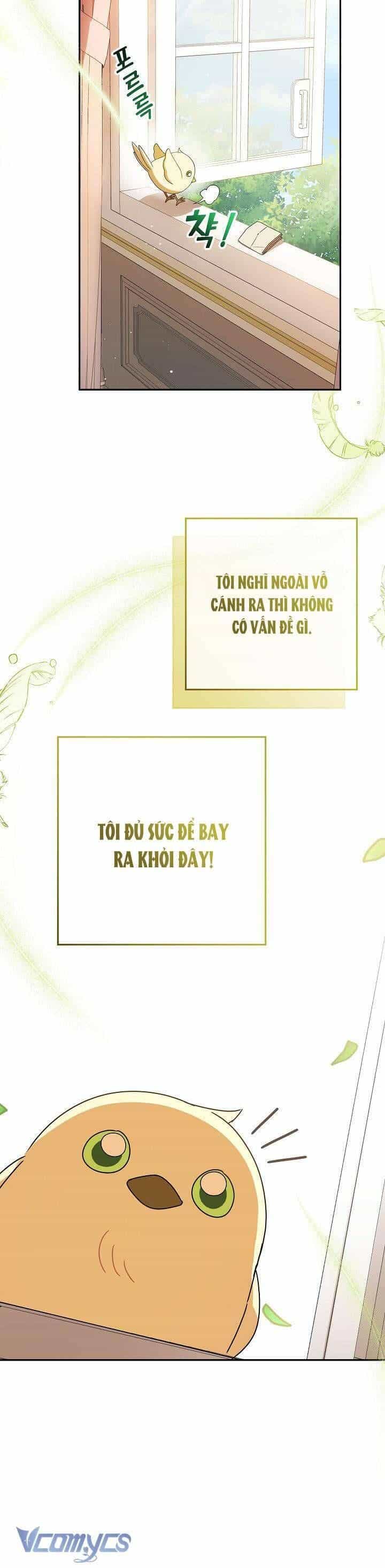 Nàng Chim Được Dinh Thự Sói Yêu Thương - Chương 4 - ảnh 5