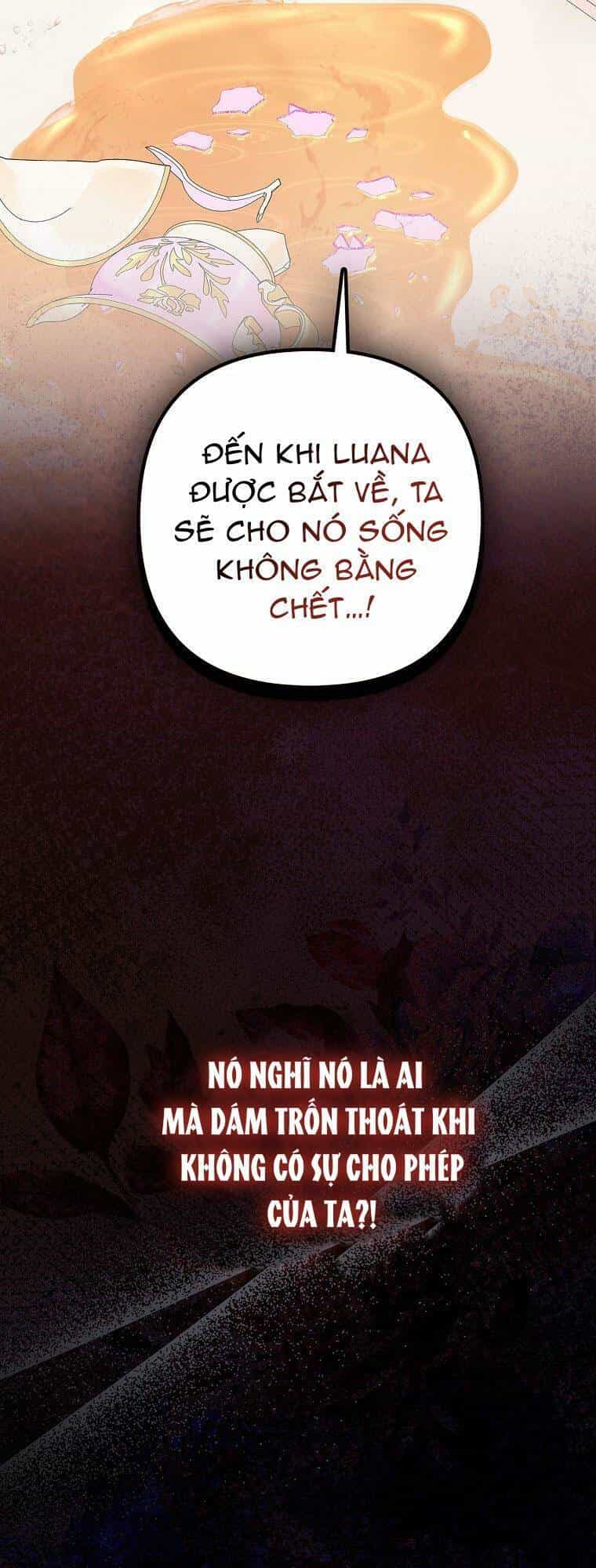 Nàng Công Chúa Của Mọi Người - Chương 19 - ảnh 13