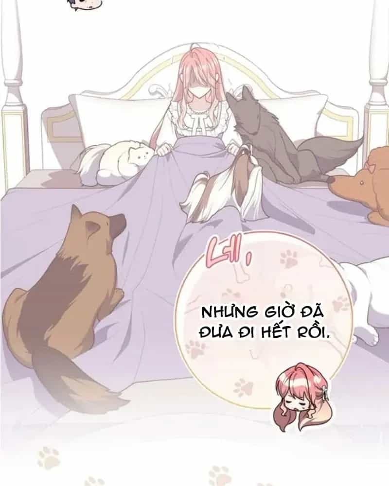 Nàng Công Chúa Tiên Tri - Chương 146 - ảnh 16