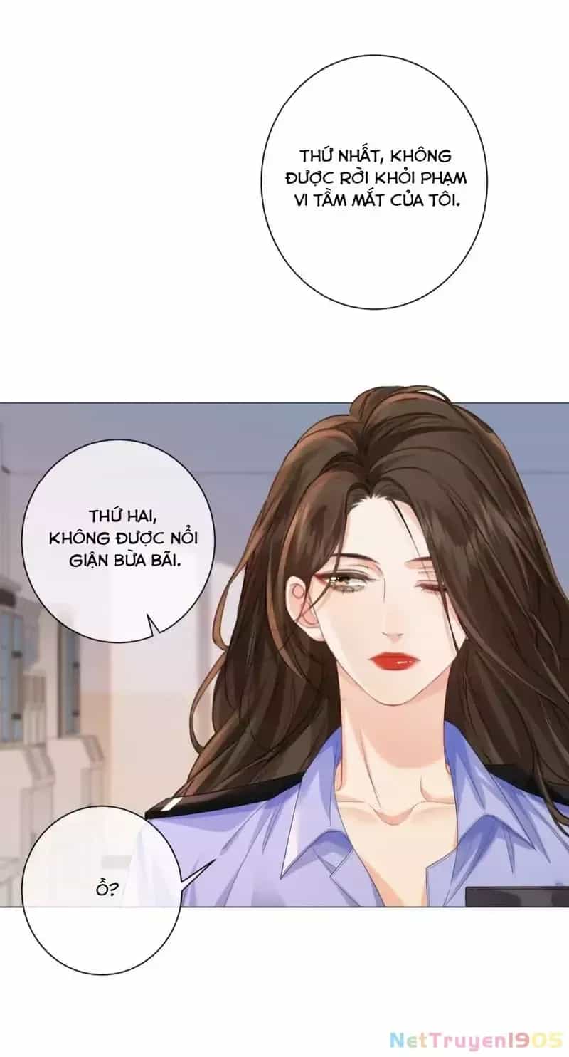 Nàng Pháp Y Thân Yêu Của Tôi - Chương 89 - ảnh 16