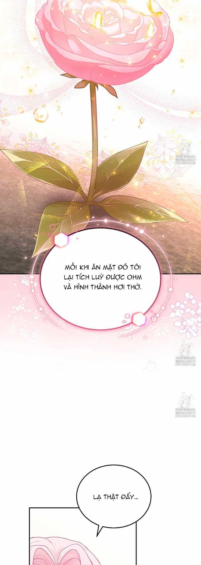 Nàng Tiên, Hãy Ký Hợp Đồng Nào - Chương 28 - ảnh 30