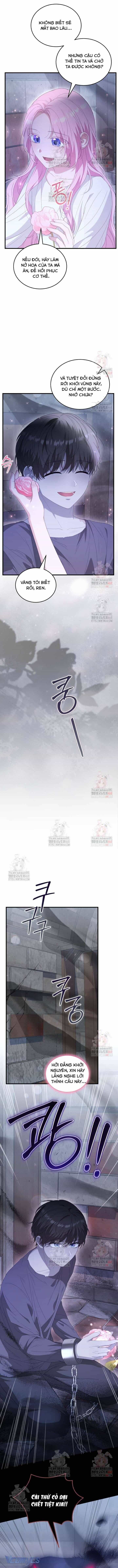 Nàng Tiên, Hãy Ký Hợp Đồng Nào - Chương 70 - ảnh 4