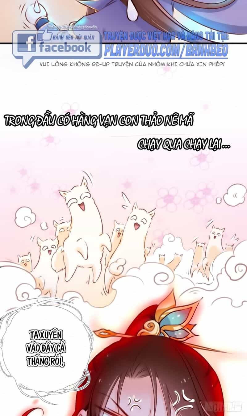 Nàng Trở Thành Bạch Nguyệt Quang Của Vương Gia Bệnh Kiều - Chương 2 - ảnh 40