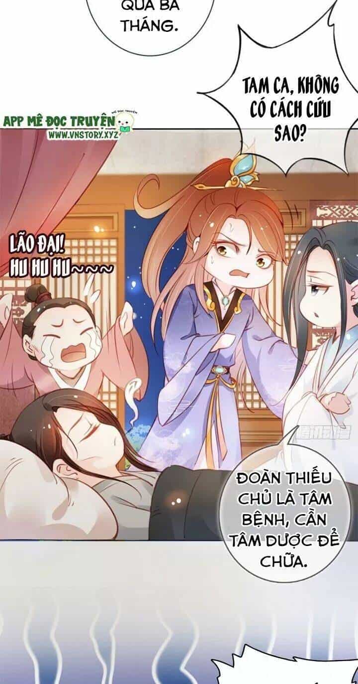 Nàng Trở Thành Bạch Nguyệt Quang Của Vương Gia Bệnh Kiều - Chương 42 - ảnh 3