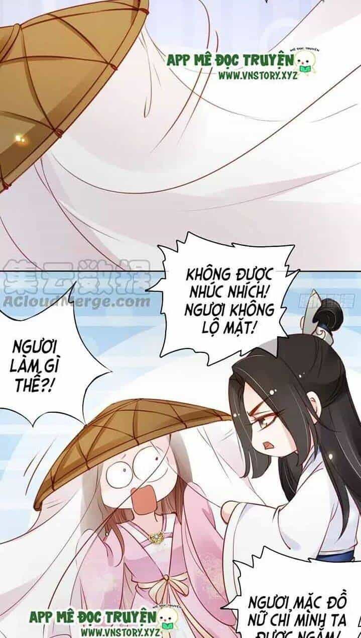 Nàng Trở Thành Bạch Nguyệt Quang Của Vương Gia Bệnh Kiều - Chương 48 - ảnh 14