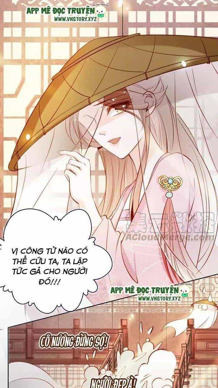 Nàng Trở Thành Bạch Nguyệt Quang Của Vương Gia Bệnh Kiều - Chương 50 - ảnh 8