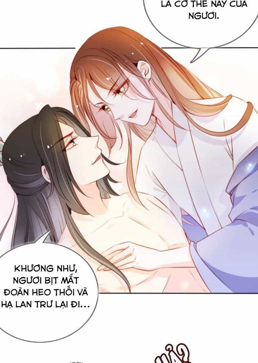 Nàng Trở Thành Bạch Nguyệt Quang Của Vương Gia Bệnh Kiều - Chương 66 - ảnh 37