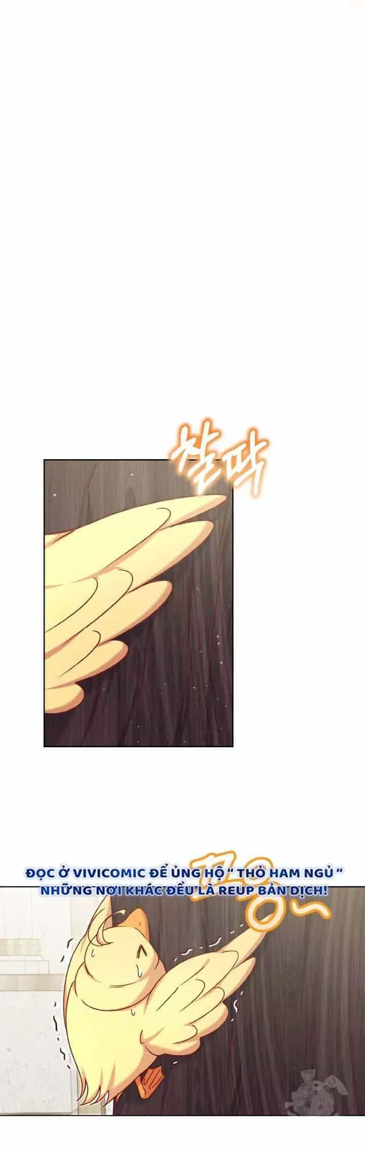 Nàng Vịt Chờ Ngày Hủy Hôn - Chương 22 - ảnh 19