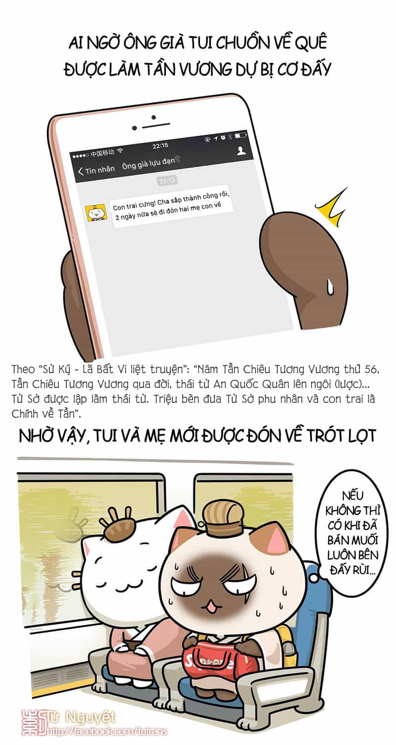 Nếu Lịch Sử Là Một Bầy Mèo - Chương 25 - ảnh 12