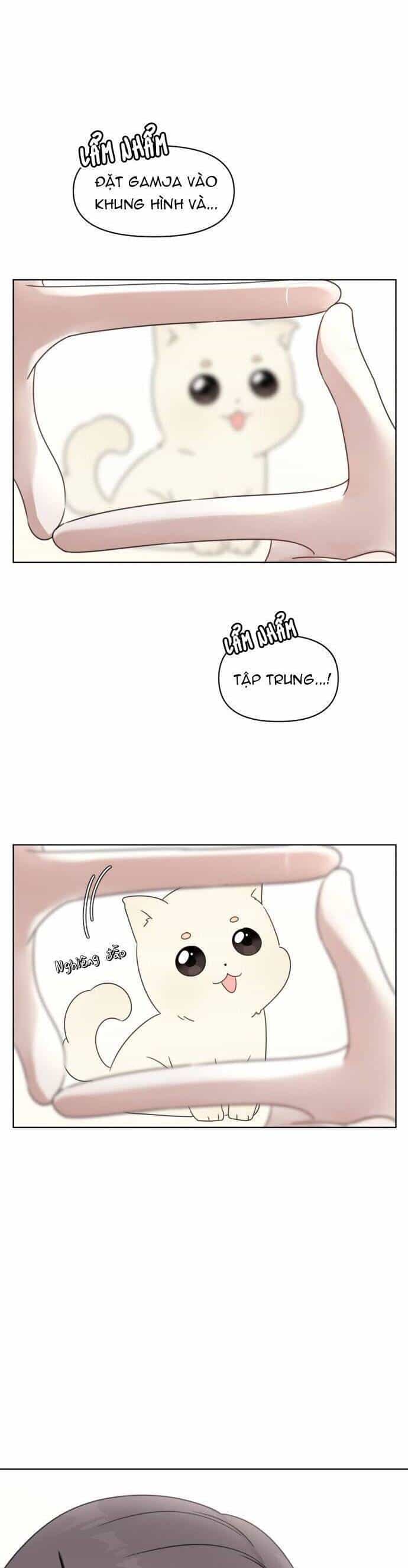 Ngắm Nhìn Điều Tuyệt Vời Nhất - Chương 5 - ảnh 20