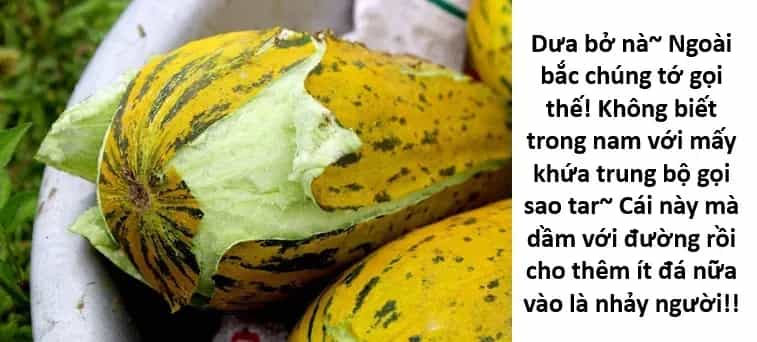 Ngay Cả Khi Hậu Tận Thế, Thật Hạnh Phúc Khi Vẫn Còn Được Sống... (Puchimasu Miếu) - Chương 55.2 - ảnh 23