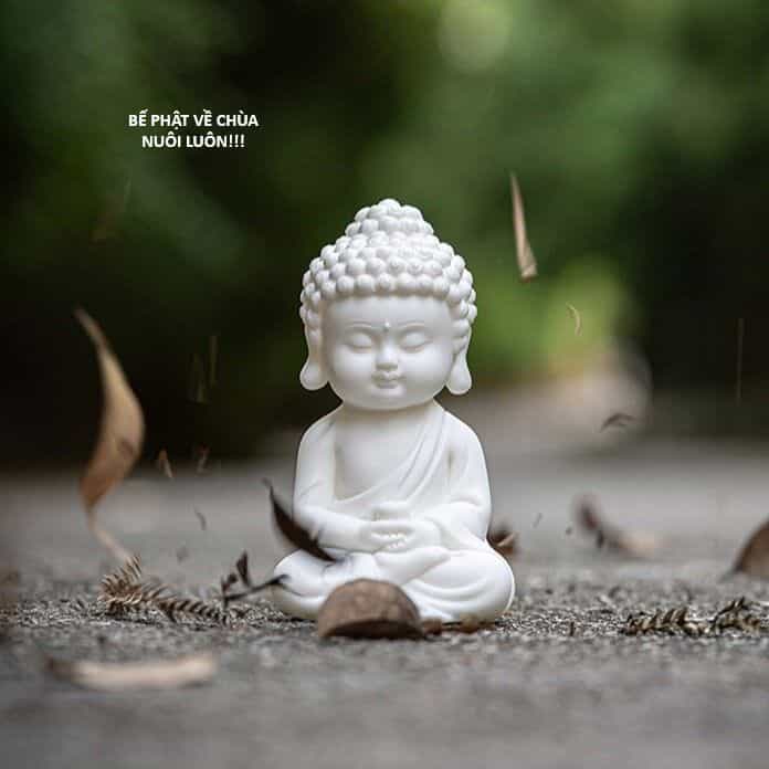 Ngay Cả Khi Hậu Tận Thế, Thật Hạnh Phúc Khi Vẫn Còn Được Sống... (Puchimasu Miếu) - Chương 4.5 - ảnh 19