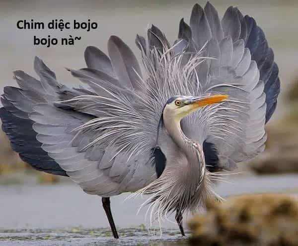 Ngay Cả Khi Hậu Tận Thế, Thật Hạnh Phúc Khi Vẫn Còn Được Sống... (Puchimasu Miếu) - Chương 4.5 - ảnh 21