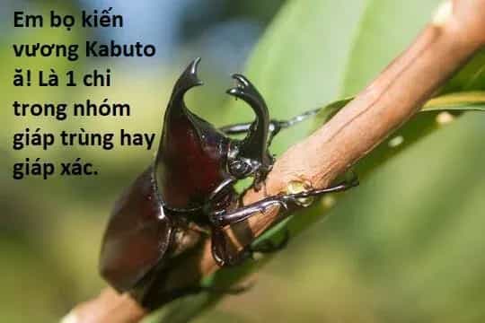 Ngay Cả Khi Hậu Tận Thế, Thật Hạnh Phúc Vẫn Còn Được Sống... - Chương 73 - ảnh 14