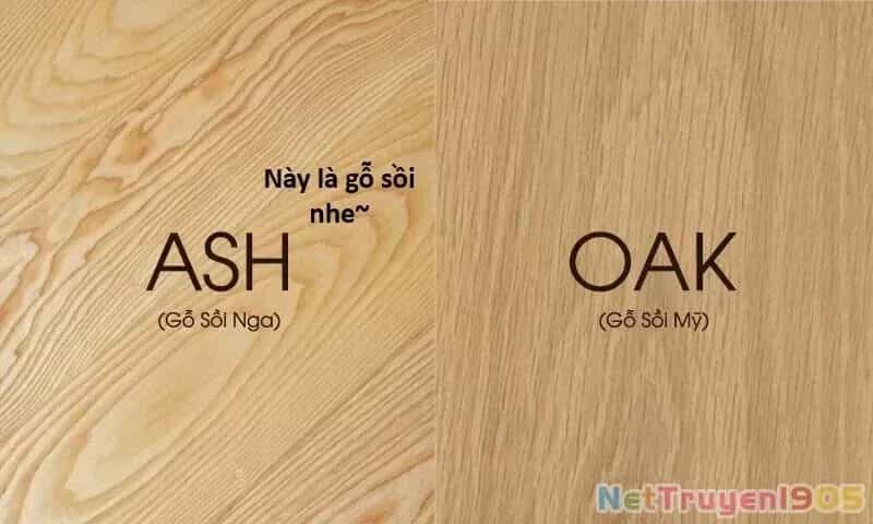 Ngay Cả Khi Hậu Tận Thế, Thật Hạnh Phúc Vẫn Còn Được Sống... - Chương 76 - ảnh 19