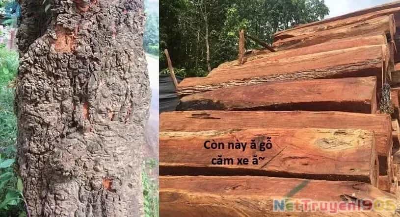 Ngay Cả Khi Hậu Tận Thế, Thật Hạnh Phúc Vẫn Còn Được Sống... - Chương 76 - ảnh 21